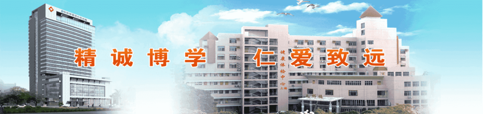 banner_1.png banner_1.png